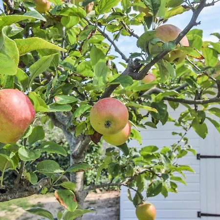 In Saint-aubin-sur-mer Ferienhaus *
